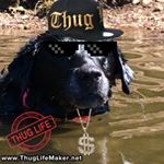 Profile Picture of Blake Hennessy (@blakchill_bruh_2) on Instagram