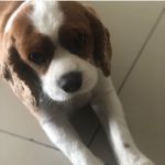 Profile Picture of harrynicolopoulos (@harrynicolopoulos) on Instagram