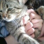 Profile Picture of Cappellacci Lisa (@cappellaccilisa) on Instagram