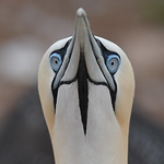 Profile Picture of Marc Gingras (@marcgingrasphoto.com) on Flickr