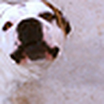 Profile Picture of Carlos Munoz (@gnarlos) on Flickr