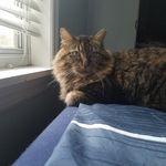 Kevyn Mccarthy - Instagram Profile Picture of Kevyn Mccarthy (@avery_porath) on Instagram