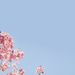 Profile Picture of Yu Jing Huang (@yujing1221) on Pinterest