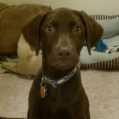 Profile Picture of Tucker Max Klein (@TuckerMaxKlein) on Twitter