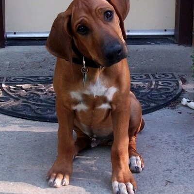 Profile Picture of Stephen Cable (@racelifeg1) on Twitter