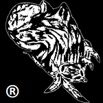 Erik Chanovas - Flickr Profile Picture of Erik Chanovas (@Wolf`s Sound) on Flickr