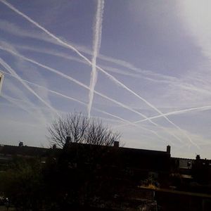 Profile Picture of Talia Lea (@talirome) on Myspace