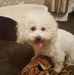 Profile Picture of Paul Fidler (@paul.fidler.56) on Facebook