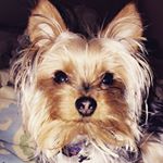Profile Picture of Marissa  Anderson (@_anderson_1220_) on Instagram