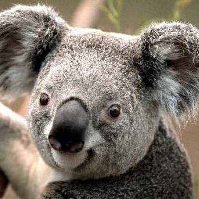 Profile Picture of Mike Welsch (@mike_welsch) on Twitter