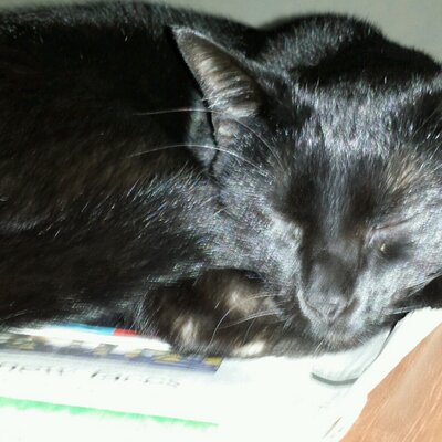 Profile Picture of Kenneth Palmer (@kpalm1111) on Twitter