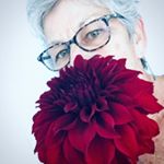 Profile Picture of Jeanne Hamilton (@mopedmamma) on Instagram