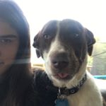 Profile Picture of Chynna-Rose Oloughlin Smith (@chynnaoloughlin_) on Instagram