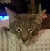 Profile Picture of William Thackeray (@william.thackeray.5) on Facebook