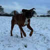 Profile Picture of Max Wilkinson (@@maxwilko12) on Tiktok