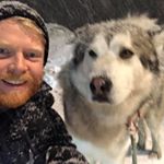 Profile Picture of Mark Pearce (@markpeemans) on Instagram