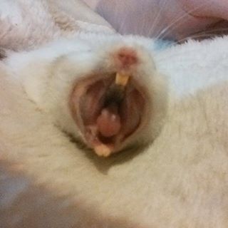 Profile Picture of Lark Freedom (@Lark-Freedom) on Facebook