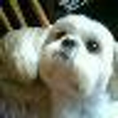 Profile Picture of Pat Burkholder (@chastagirl) on Twitter