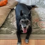 Profile Picture of Marilyn Veatch (@marilyn.veatch.1) on Facebook