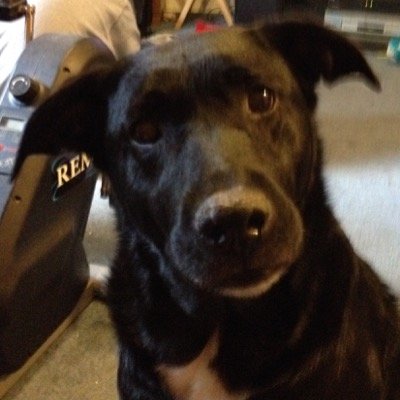 Profile Picture of Jim Vess (@VessJim) on Twitter