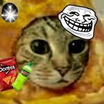 Colby Richards - Instagram Profile Picture of Colby Richards (@richards.spammz) on Instagram