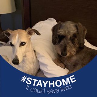 Profile Picture of Danny Weathers (@danny.weathers.3) on Facebook