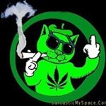 Justin Funke - Instagram Profile Picture of Justin Funke (@justin_funke) on Instagram