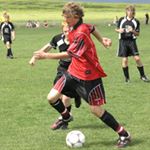 Profile Picture of Patrick Winkel (@patrickwinkel1) on Instagram