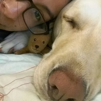 Profile Picture of Marisol Hernández M (@MarisolH05) on Twitter