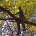 Profile Picture of Antonio McDowell (@antonio.mcdowell.9615) on Facebook
