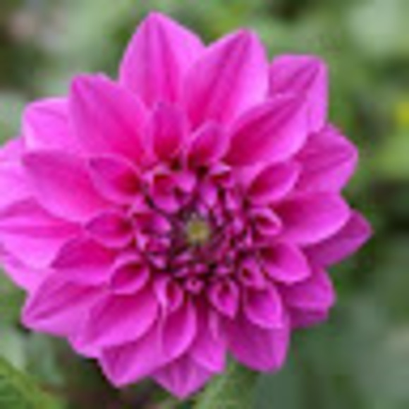 Profile Picture of Jess Consic (@babycakez0844) on Poshmark