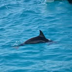 Profile Picture of Madalina Püllen (@madalinapullen) on Facebook