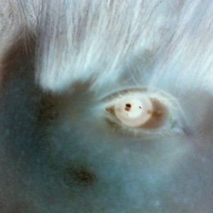 Profile Picture of Craig Finnerty (@425723372) on Myspace