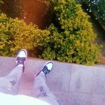 Profile Picture of George Griffin's (@griffins.george) on Instagram