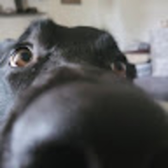 Profile Picture of Joanna Moore (@joannamoore084) on Poshmark