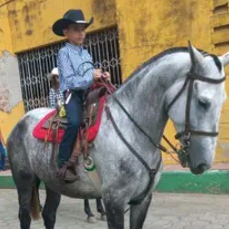 Profile Picture of davidvindel (@david.antonio025) on Tiktok