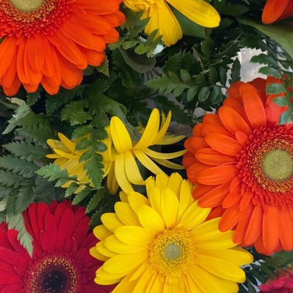 Profile Picture of Ching Ching (@chingching751) on Poshmark