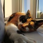 Profile Picture of Darren Badger Bentley (@pennyvspotatoe) on Instagram