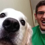Profile Picture of Steven Elmer (@stevenelmer121b) on Instagram
