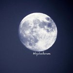 Profile Picture of phyllislindsay (@phyllislindsay) on Instagram