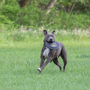 Kelly Houser - Youtube Profile Picture of Kelly Houser (@kellyhouser3016) on Youtube