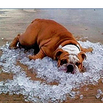 Profile Picture of daniel weber (@texarkanahvac) on Flickr