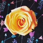 Profile Picture of jordan_trokanski (@jordan_trokanski) on Instagram
