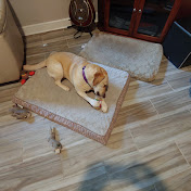 Profile Picture of Mike Maginn (@mikemaginn6331) on Youtube