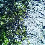 Profile Picture of kaegan Conrad (@kaeganconrad) on Instagram