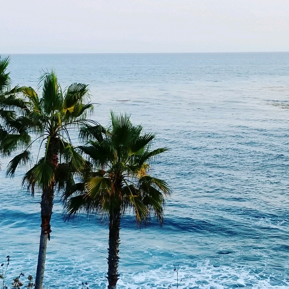 Profile Picture of Anicea Tassone (@cheer_tassone) on Poshmark