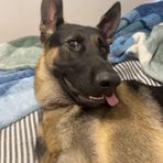 Profile Picture of Steve Pettyjohn (@steve.pettyjohn.5) on Facebook