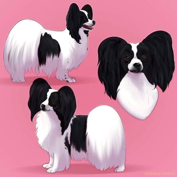 Profile Picture of Kim Moreno (@moreki_2000) on Poshmark