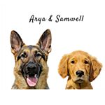 Profile Picture of ARYA & SAMWELL 🐺 (@aryaandsamwell) on Instagram