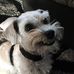 Profile Picture of Kevin Kirkey (@kevin.kirkey) on Facebook